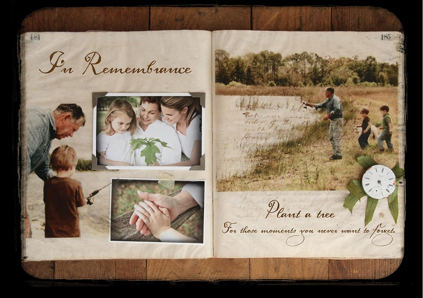 Sympathy Persian Lime Gift Tree, Easy to Grow, Indoor/Outdoor, Live Plant, Lasting Sympathy Gift, by The Magnolia Company, Can't Ship to CA, AL, AZ, LA, TX