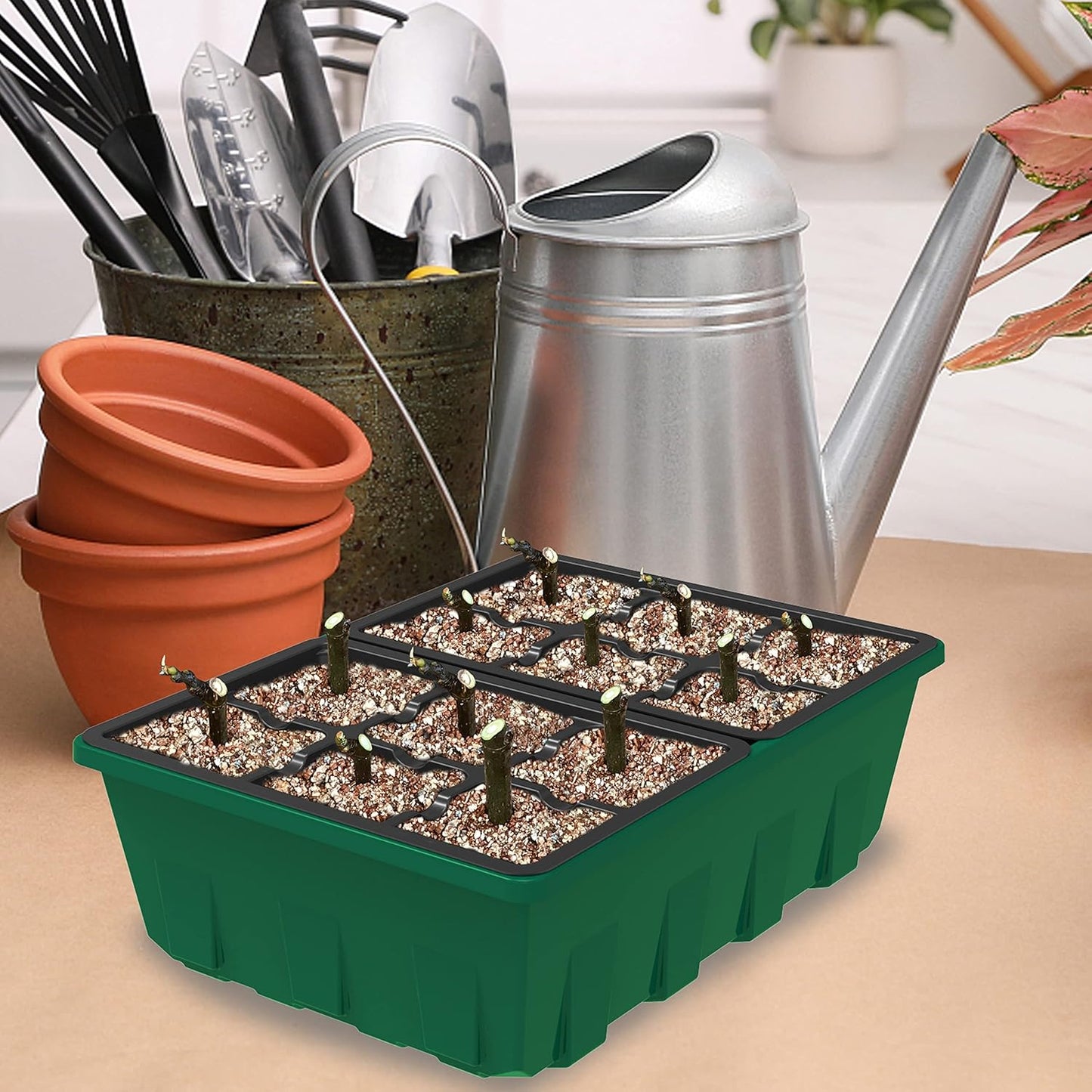 Gardzen 10-Set Garden Propagator Set, Black Seed Tray Kits with 120-Cell, Seed Starter Trays with Dome and Green Base 6.6" x 4.5" (12-Cell Per Tray)