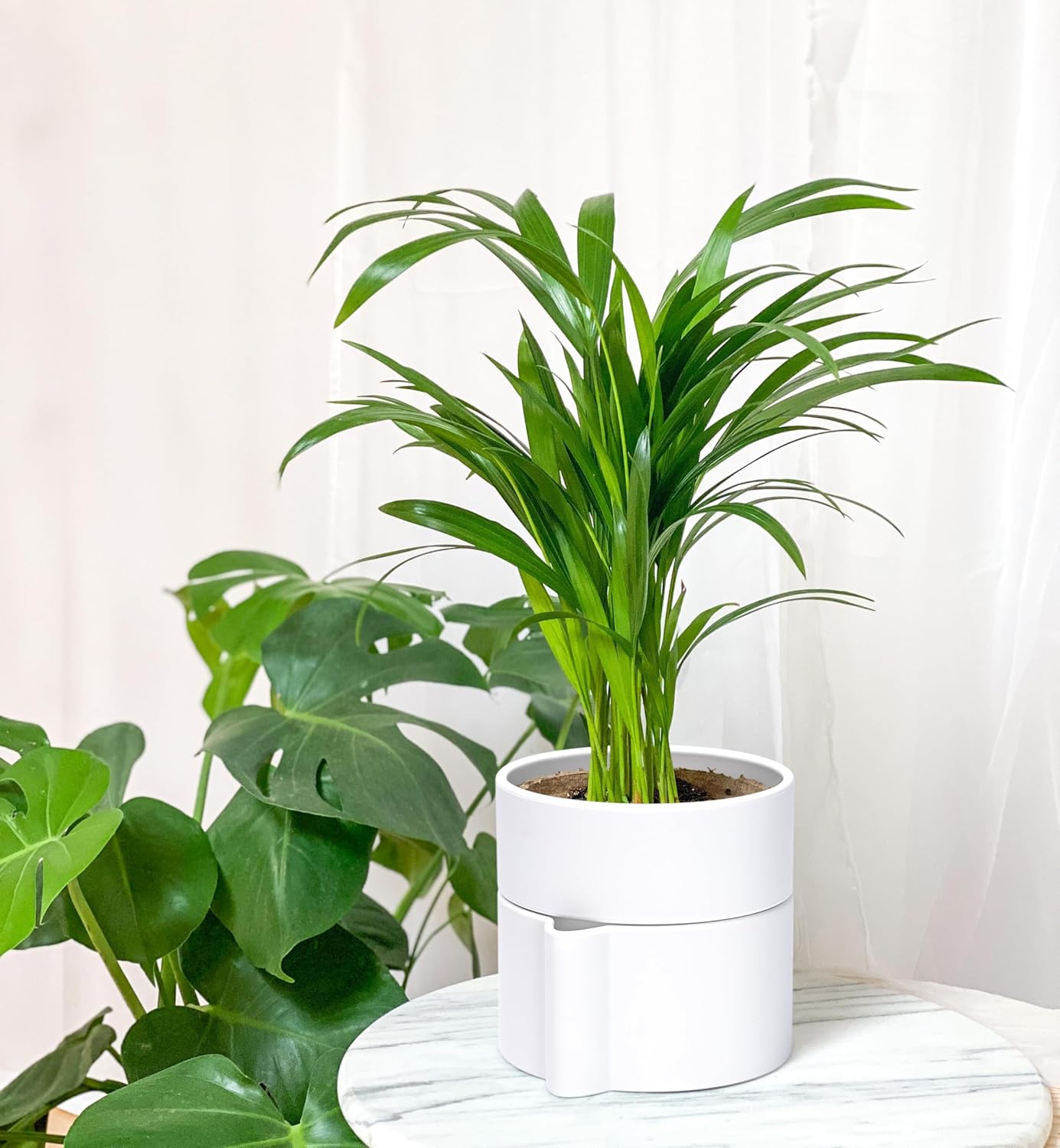 Phoenix Vine 6.5 Inch Self-Watering Planter Pot with Terracotta Insert, Deep Water Reservoir, and Ceramic-Alike BPA-Free Plastic Pot for Plant, Modern Planter for Houseplants, White, 53-A-S-1