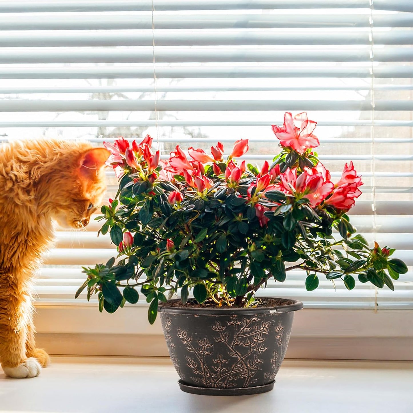 12-inch-Flower-Pots-Outdoor-Indoor, 4 Pack Plastic Planter Pots for Plant with Drainage Hole Saucer, Decorative Resin Garden Container with Tray