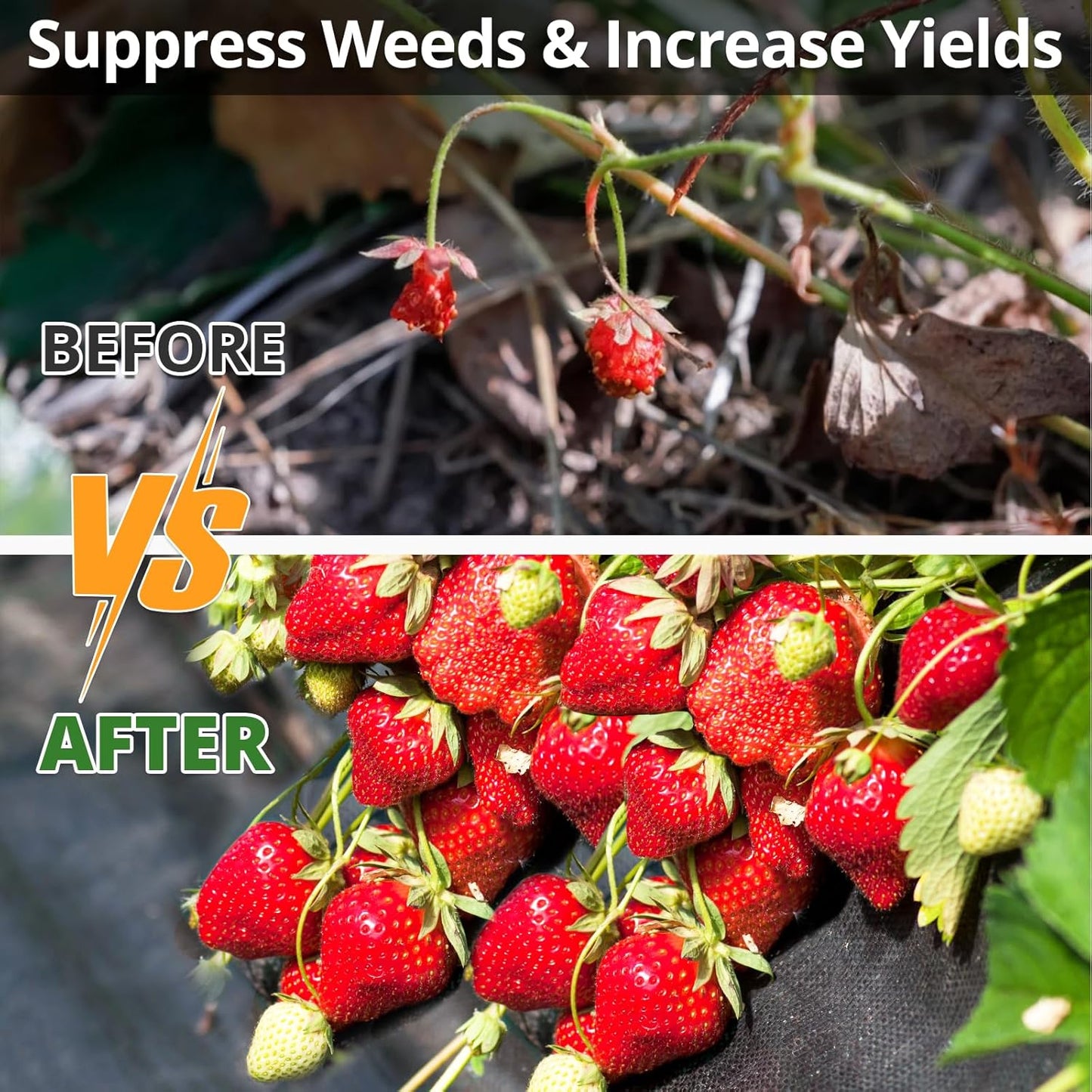 4ft×300ft Garden Weed Barrier Fabric, 3.2oz Premium Weed Blocker with 60 U-Shaped Securing Pegs, Weed Preventer for Gravel, Driveway, Gardening, Farming, Underlayment, Landscape