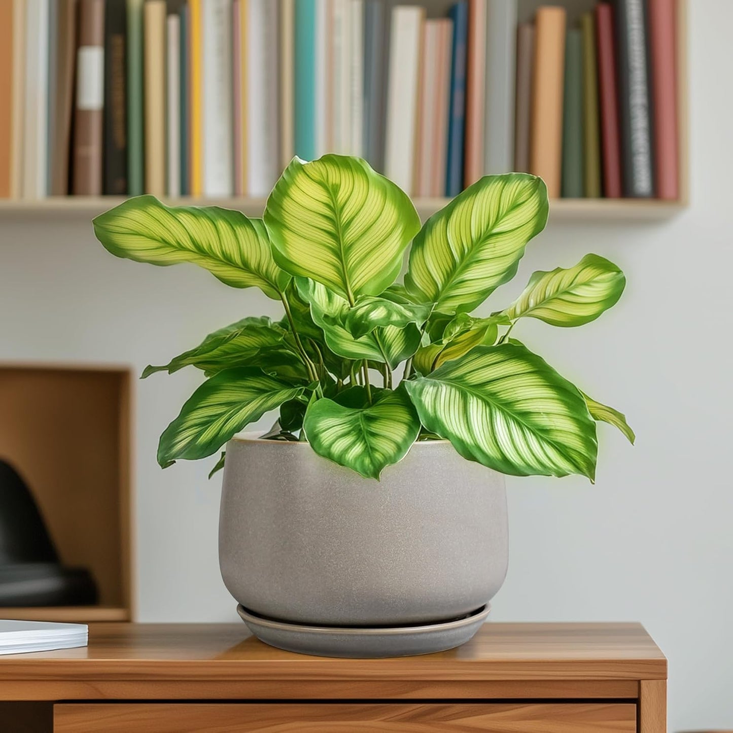 G EPGardening Ceramic Plant Pots - Round 6 Inch Modern Planter with Drainage and Plant Saucer Indoor Outdoor for Flower, Garden Decor, Gifts for Home, Retro Gray