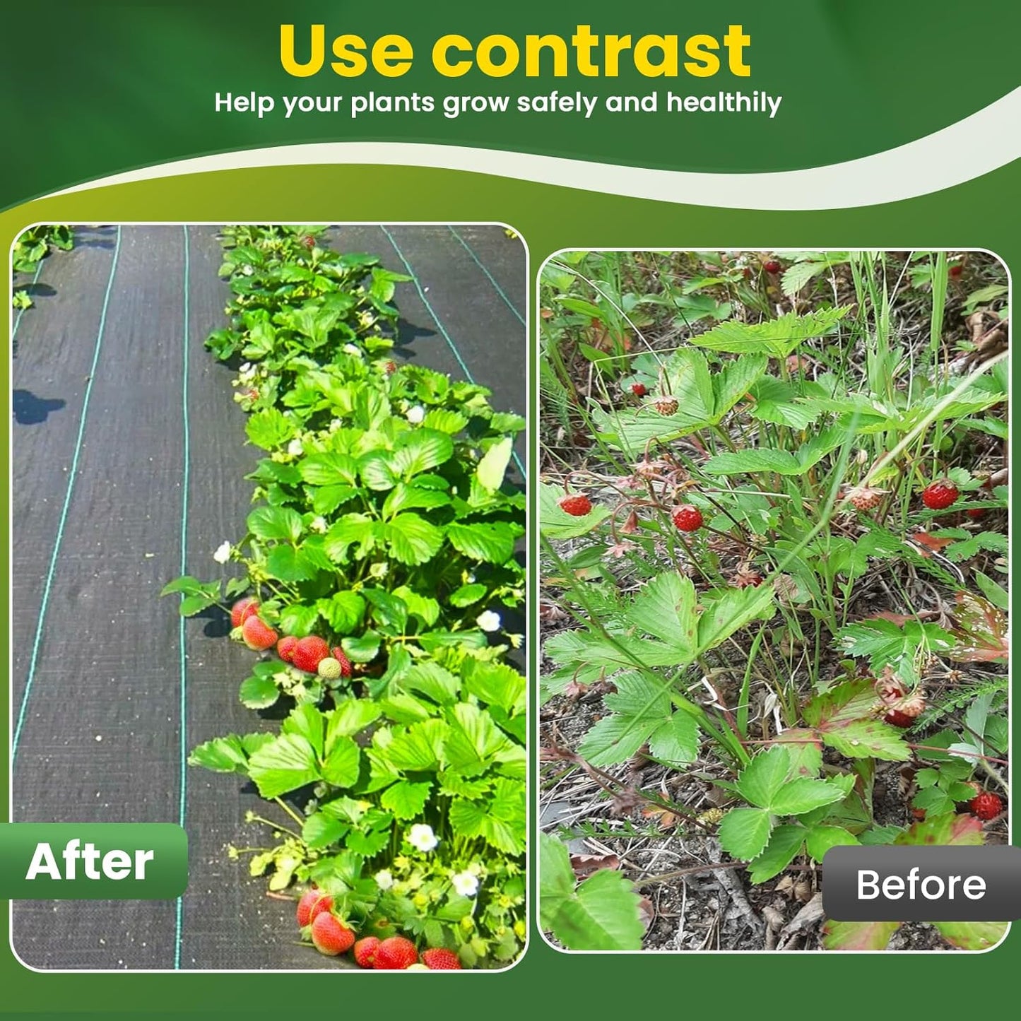 KAKO 6x300FT Weed Barrier Fabric, Landscape Fabric, Garden Weed Barrier Fabric, Garden Fabric Weed Barrier Weed Cloth for Landscaping Fabric, Garden Fabric, Driveway Fabric