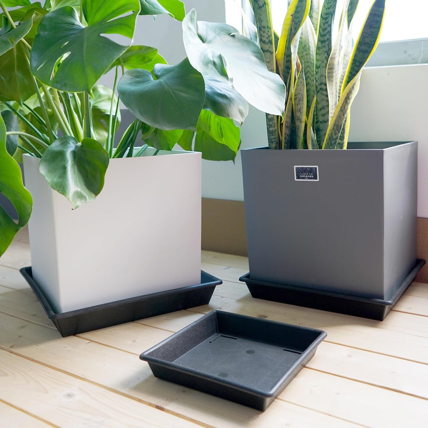 Square Plant Saucer 6 Inch 5 Pack6 8 12 14 16 18 20 Heavy Duty Plastic Plant Saucers for Indoors Outdoors, Plant Trays for Pots, Flower Pot No Holes Plant Drip Trays