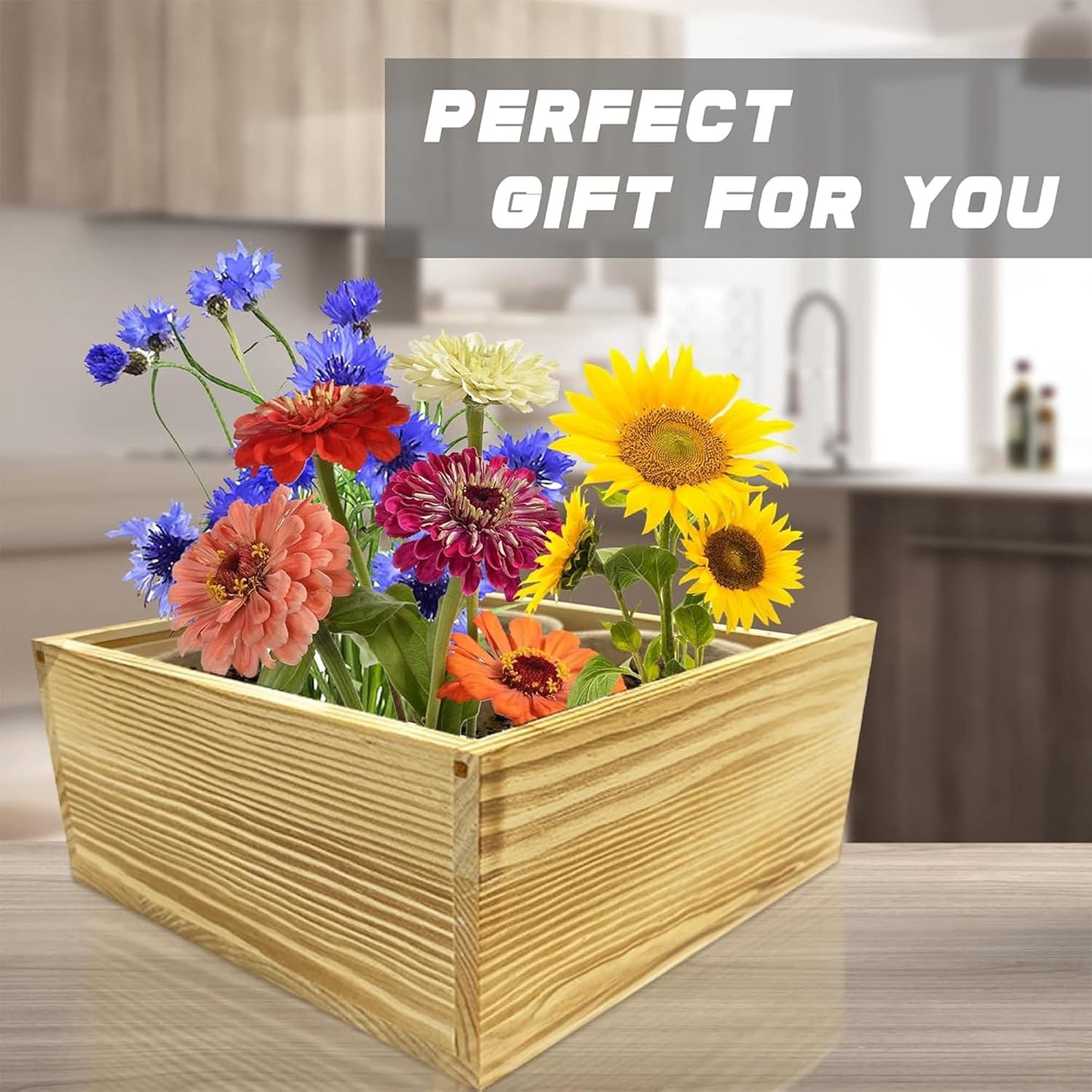 Indoor Starter 4 Kit with Complete Gardening Kit & Wooden Box, Growing into Shasta Daisy, Cornflower, Sunflower, Zinnia