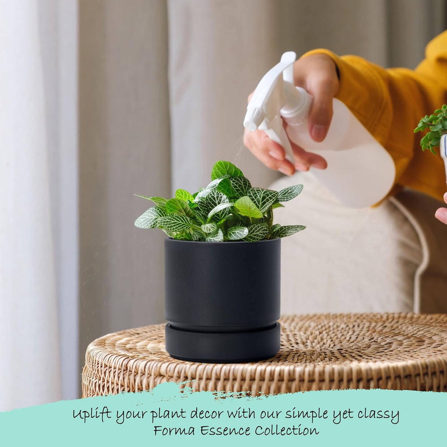 Phoenix Vine 4 Inch Planter Pot with Drainage Hole & Saucer, Deep Water Catch Tray, Straight Cylindrical Round Pot for Plants, Matte Black, Pack of 1, 23-C-R-1