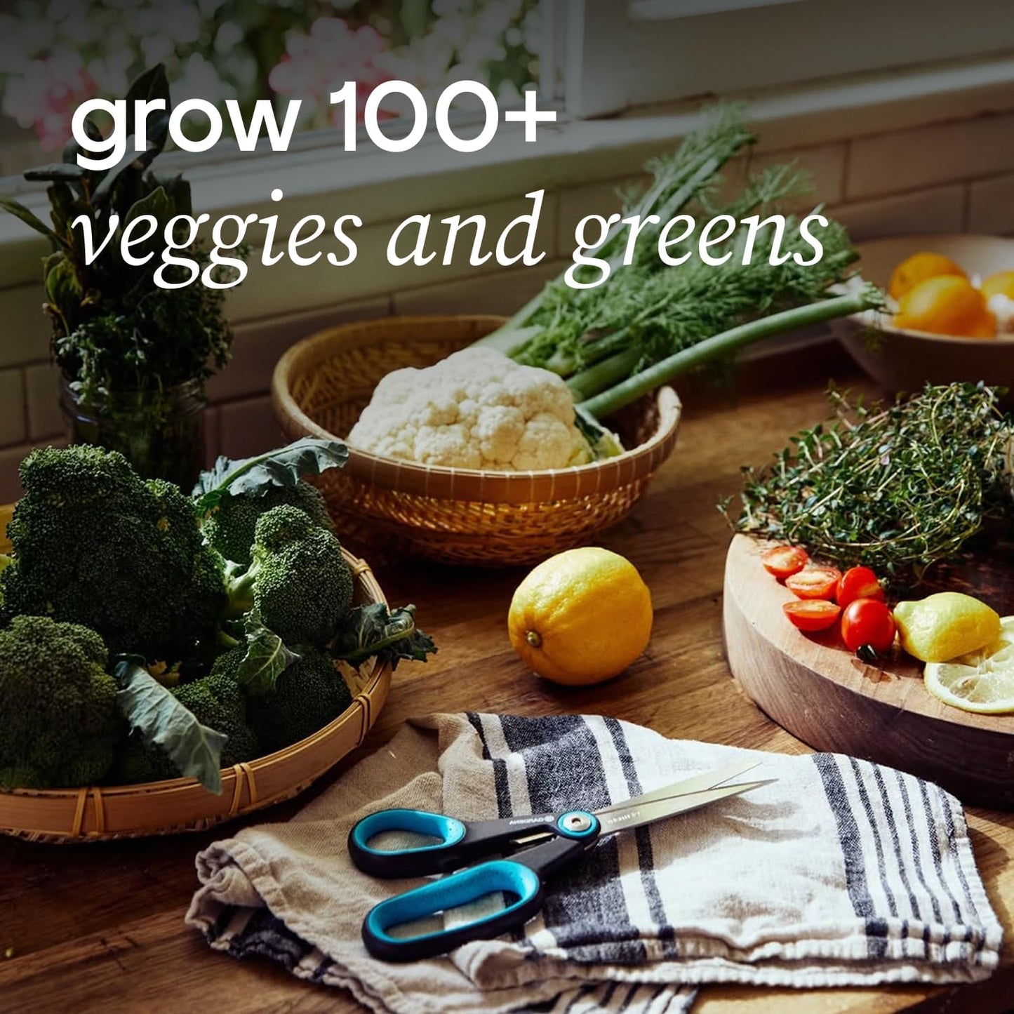 Farmstand Starter Kit with Glow Rings and 36 Seedling Credits | Large Hydroponic Growing System Kit | Vertical Garden Planter Tower | 6ft 7in Tall