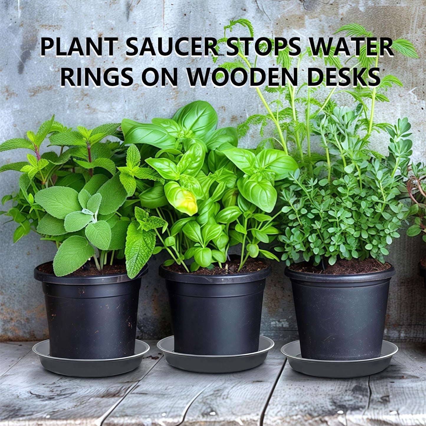 6 Pack 8-Inch Gray Plant Saucer Trays, Durable PP Plastic Pot Bases for Small Medium Planters, Modern Round Flower Pot Water Catcher Plates & Drip Trays for Indoor Plant Care