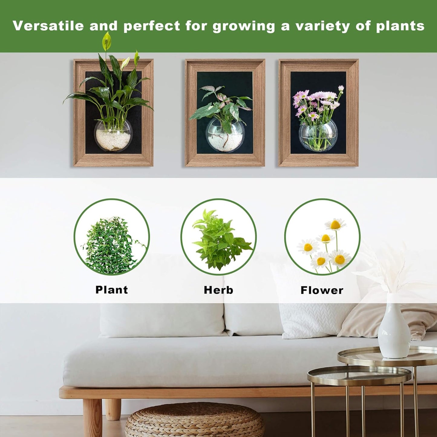 Walnut Wooden Frame Wall Hanging Planter for Hydroponic Plants,12'' x16''inch Wall Vase with Oblate-Shaped Acrylic Propagation Station,Bathroom, Office, or Living Room Decor, Set of 3