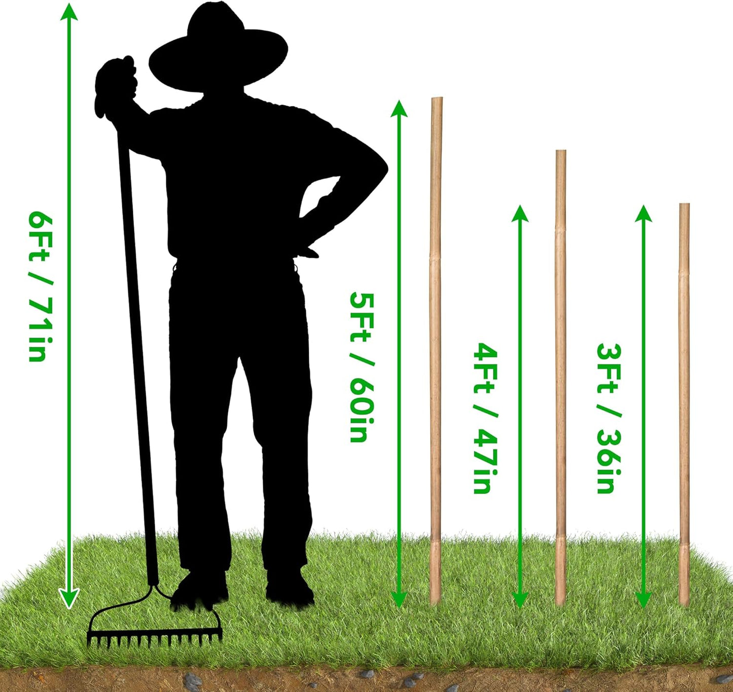 SWANGSA 55 Pack Bamboo Stakes 4 Feet, Garden Stakes for Plants Support, Tomatoes, Beans, Flowers, Climbing Plants, Indoor and Outdoor