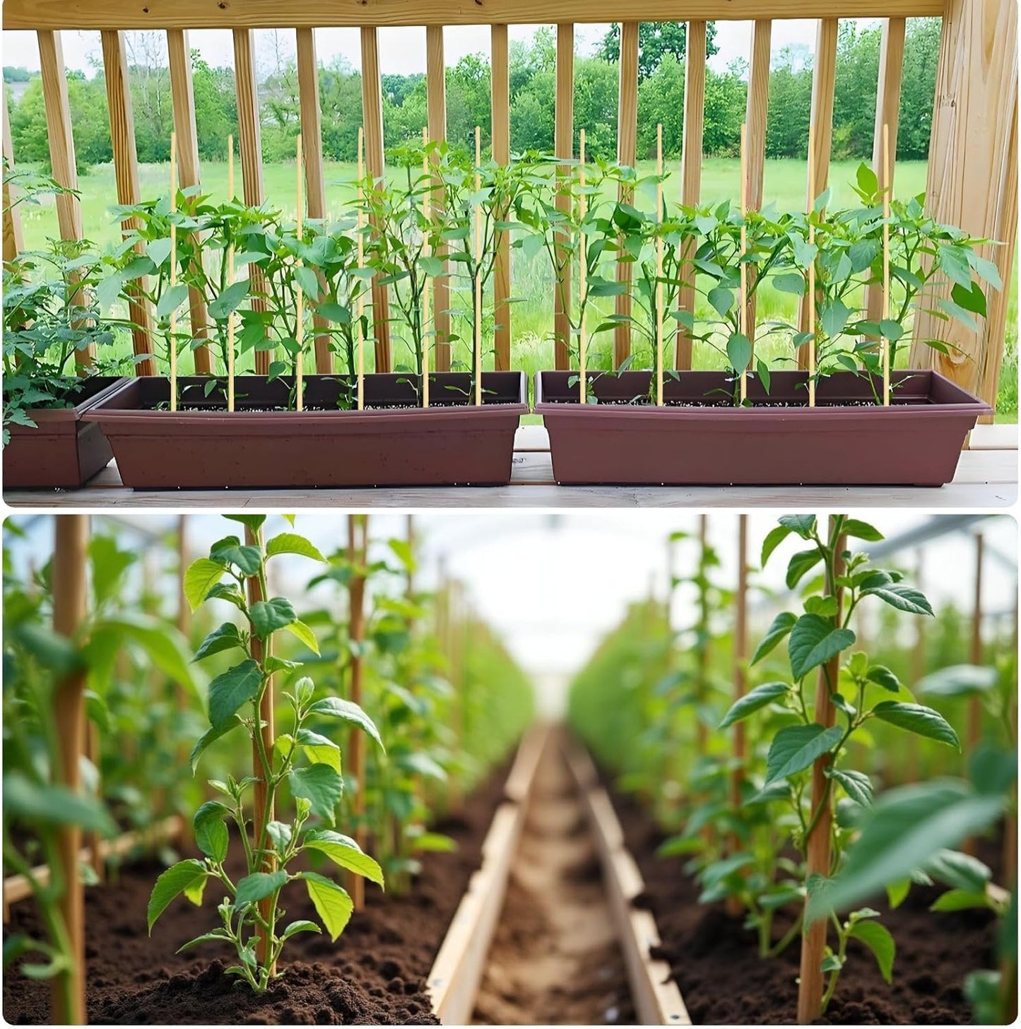 125 PCS 17.5 inch Bamboo Plant Stakes – Extra Thick 6.3mm Bamboo Sticks for Indoor & Outdoor Plants – Garden Stakes & Plant Support Stakes for Tomato, Flowers, Potted Plants & More – VESYMAN