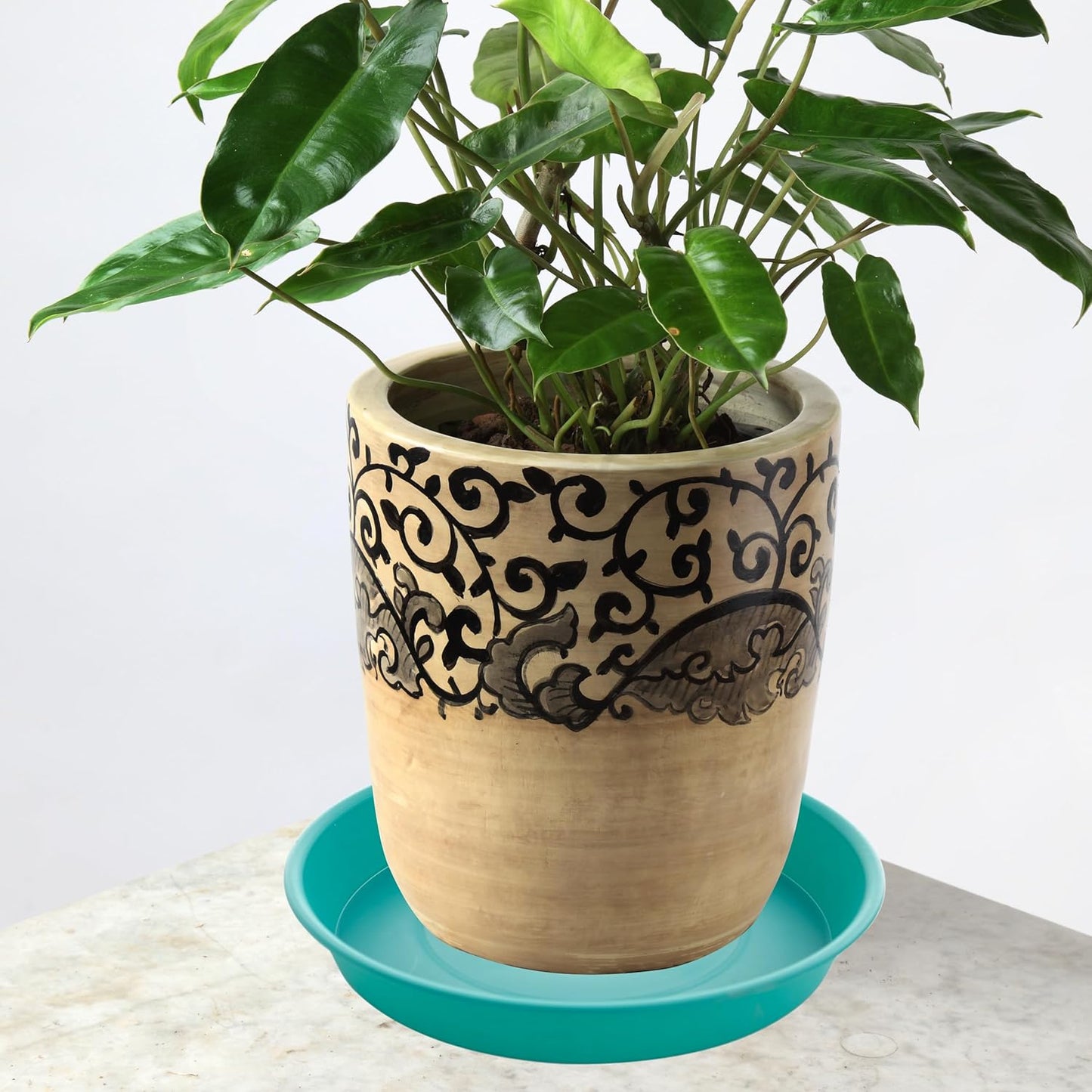 6 Pack of 12 inch Plant Saucer, Heavy Duty Plastic Plant Saucer 12" Round, Durable Plant Tray for Pots, Plant Saucers for Indoors, Plant Trays for Planter (12", Teal)