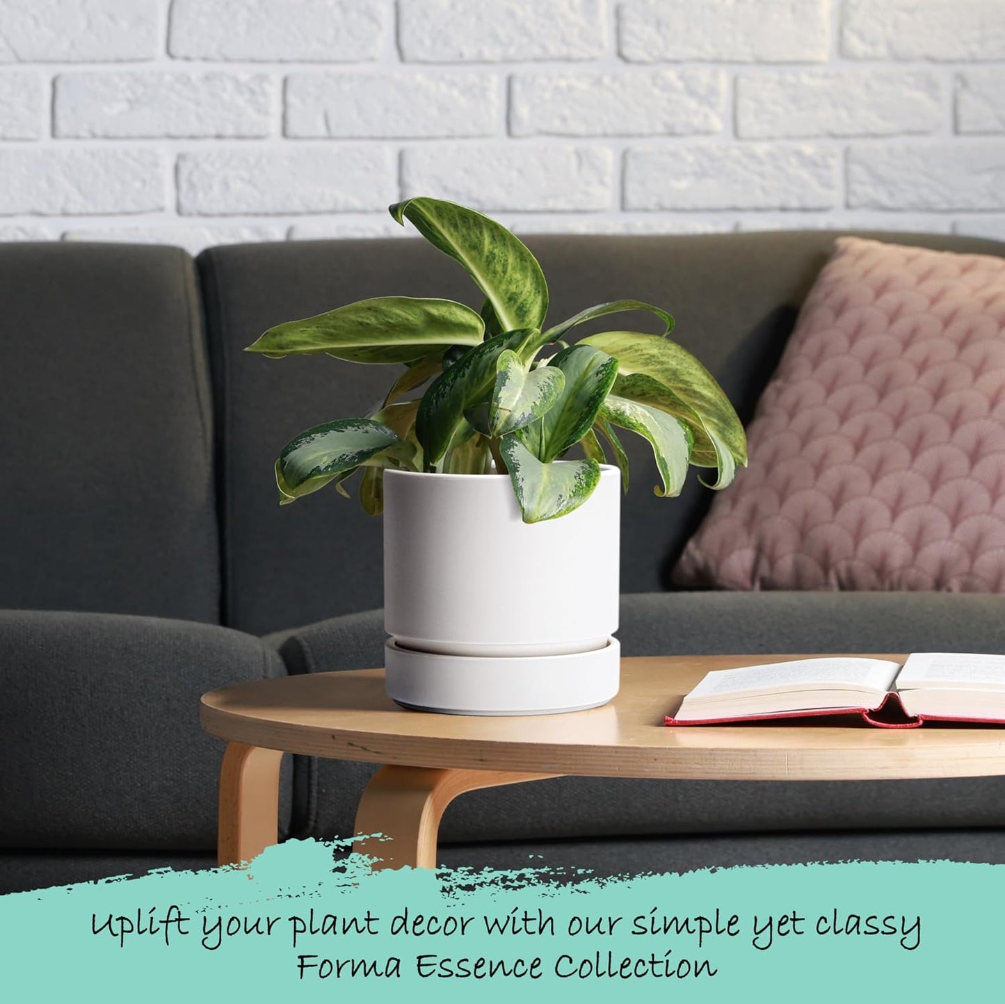 Phoenix Vine 6 Inch Planter Pot with Drainage Hole & Saucer, Deep Water Catch Tray, Straight Cylindrical Round Pot for Plants, Matte White, Pack of 2, 23-B-S-2