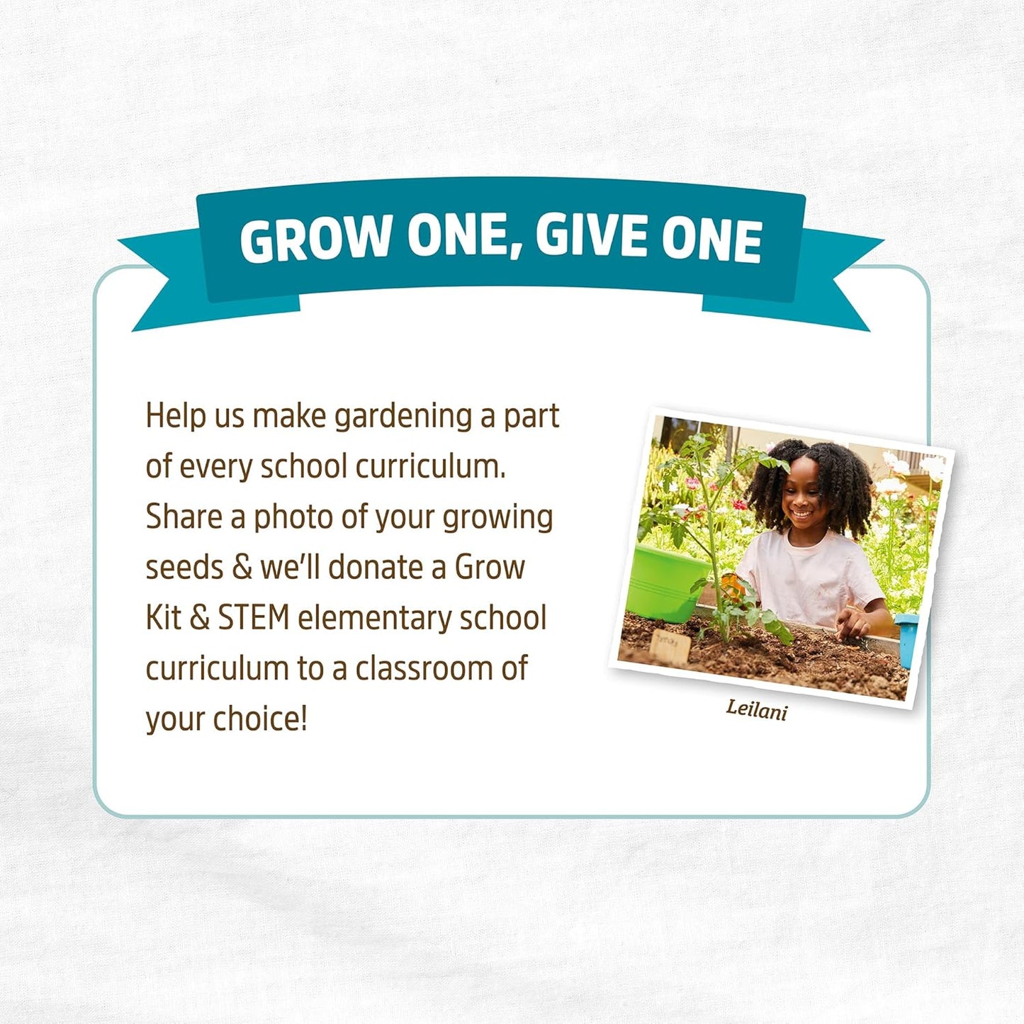 Back to the Roots 100% Organic Wheatgrass Seeds | 1 Pound Non-GMO | Nutrient Dense, Easy to Grow | Cat Grass Planter Seeds