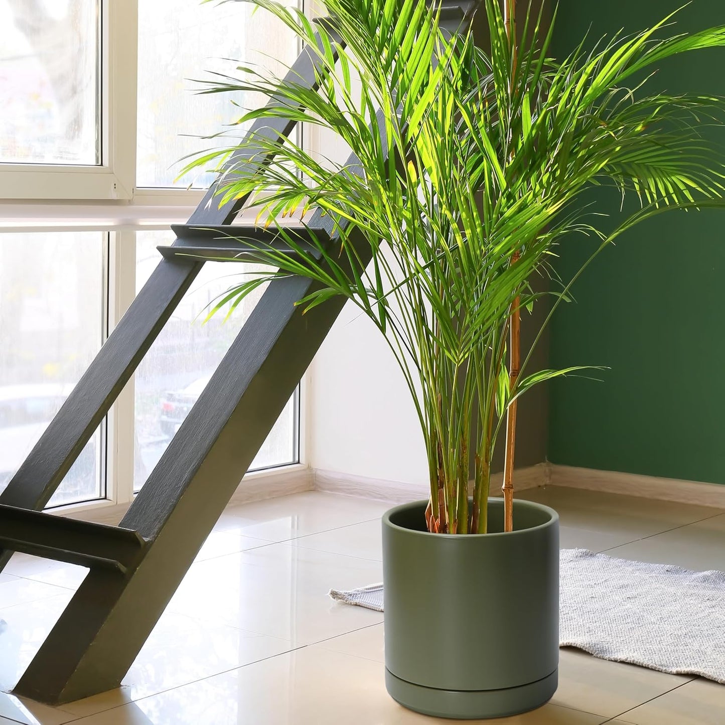 D'vine Dev Set of 2 Plants Pots, 10 Inch Ceramic Planter Pot for Plants with Drainage Hole and Saucer, Olive, 94-V-E-J