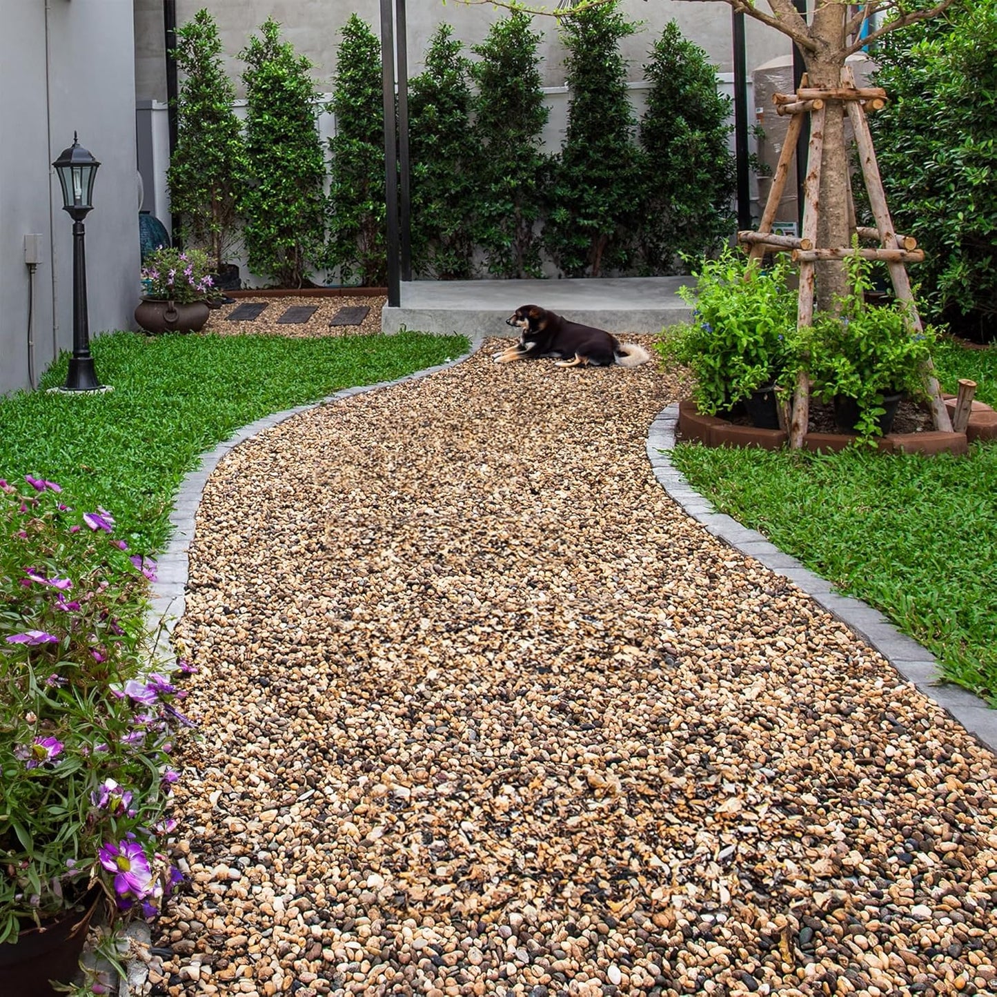 Aquarium Gravel 10 lbs, 3-6mm Fish Tank Gravel, Succulent Cactus Pea Gravel for Indoor Plants, River Rocks for Gardening, Flower Pots, Vase Fillers, Garden Landscaping