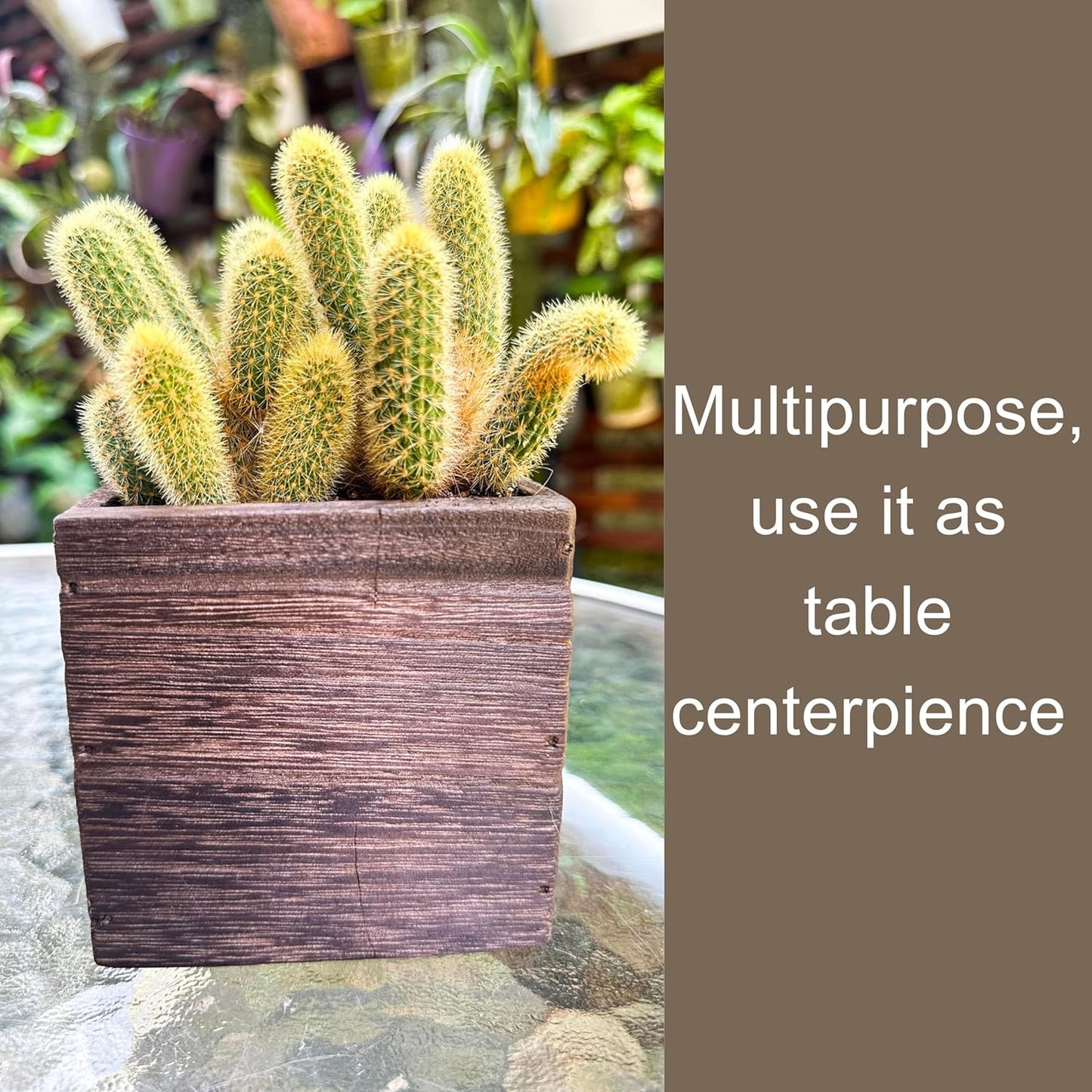 LaLaGreen Indoor Planter Box for Plants (4x4 Inch, 12 Pack) Small Square Wooden Wall Mounted Planters Wood Window Boxes Hanging Flower Pot Plant Holder Outdoor Herb Modern Vertical Garden Home Decor