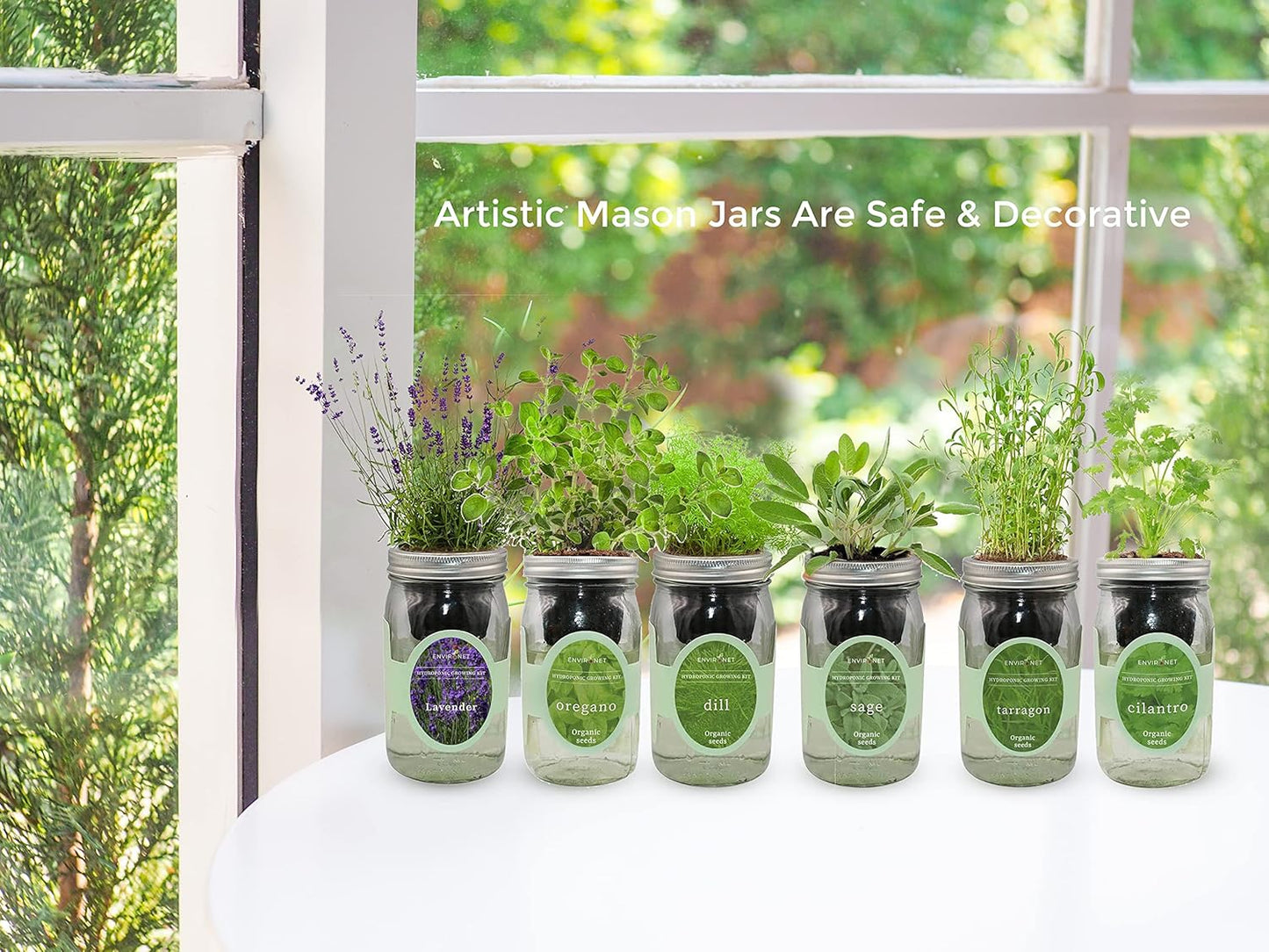 Hydroponic Herb Growing Kit Set, Self-Watering Mason Jar Herb Garden Starter Kit Indoor, Windowsill Herbs Garden, Grow Your Own Herbs from Organic Seeds (Rosemary, Lavender, Oregano)