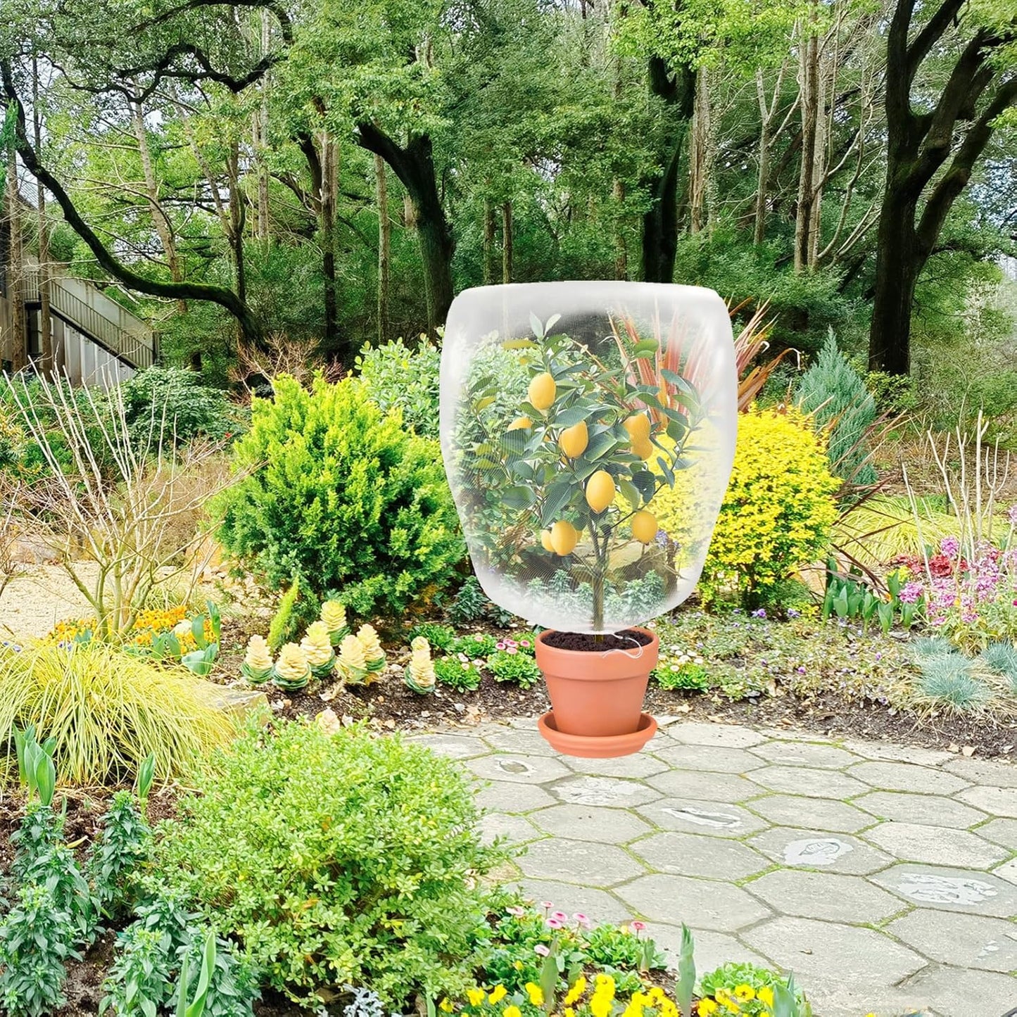 Garden Plant Covers Bags with Drawstring, 4 Pack,5.9x3.9Ft Mesh Plant Covers, Insect Bird Barrier Mesh, for Trees & Shrubs &Garden Plant Protection