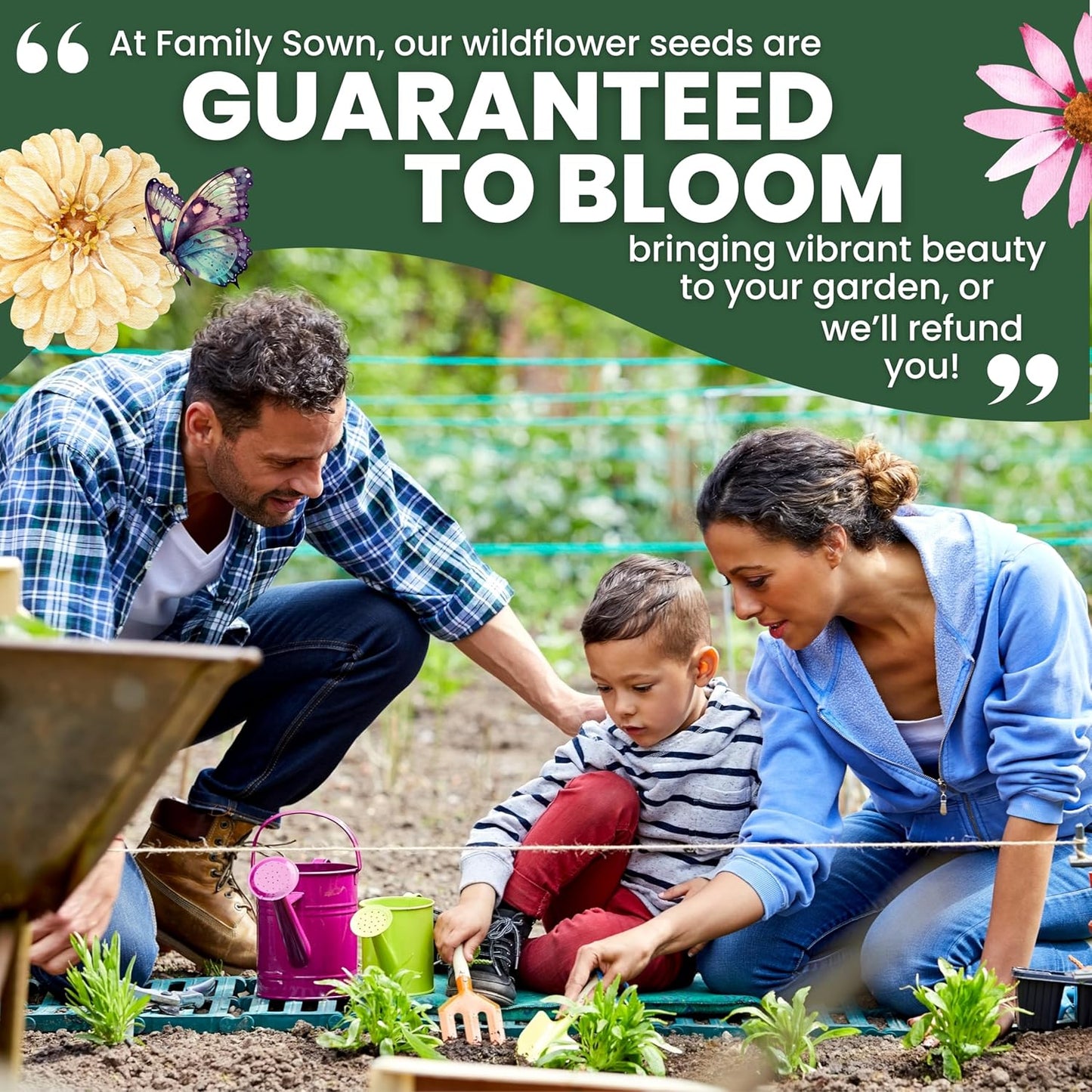 Hummingbird Butterfly Mix - Bulk 1/4 Pound Pouch - 30,000 Flower Seeds for Planting - Wildflower Mix