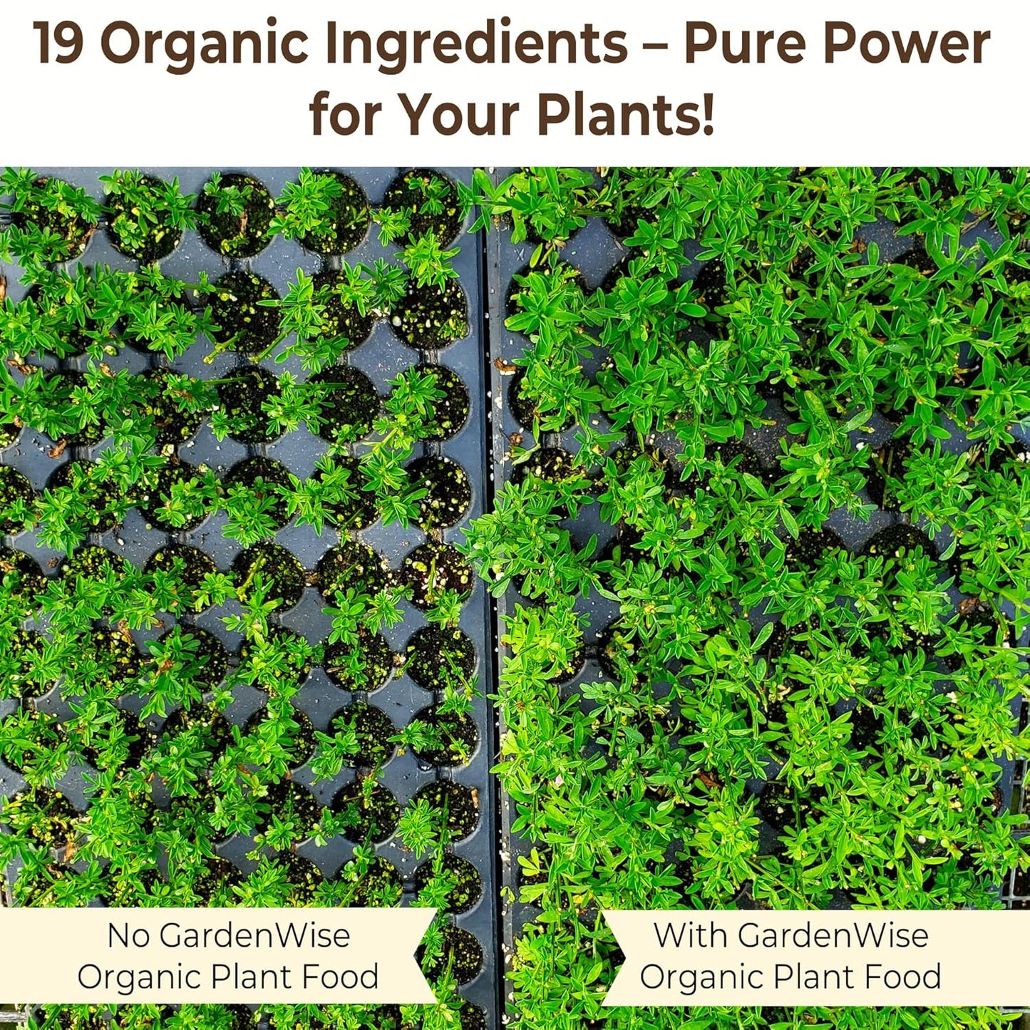 Organic Liquid Plant Food for Indoor Houseplants – All Purpose Fertilizer for Potted Plants, Vegetables, Succulents, Orchids, Roses – Miracle Growth with Mycorrhizae (8 oz)