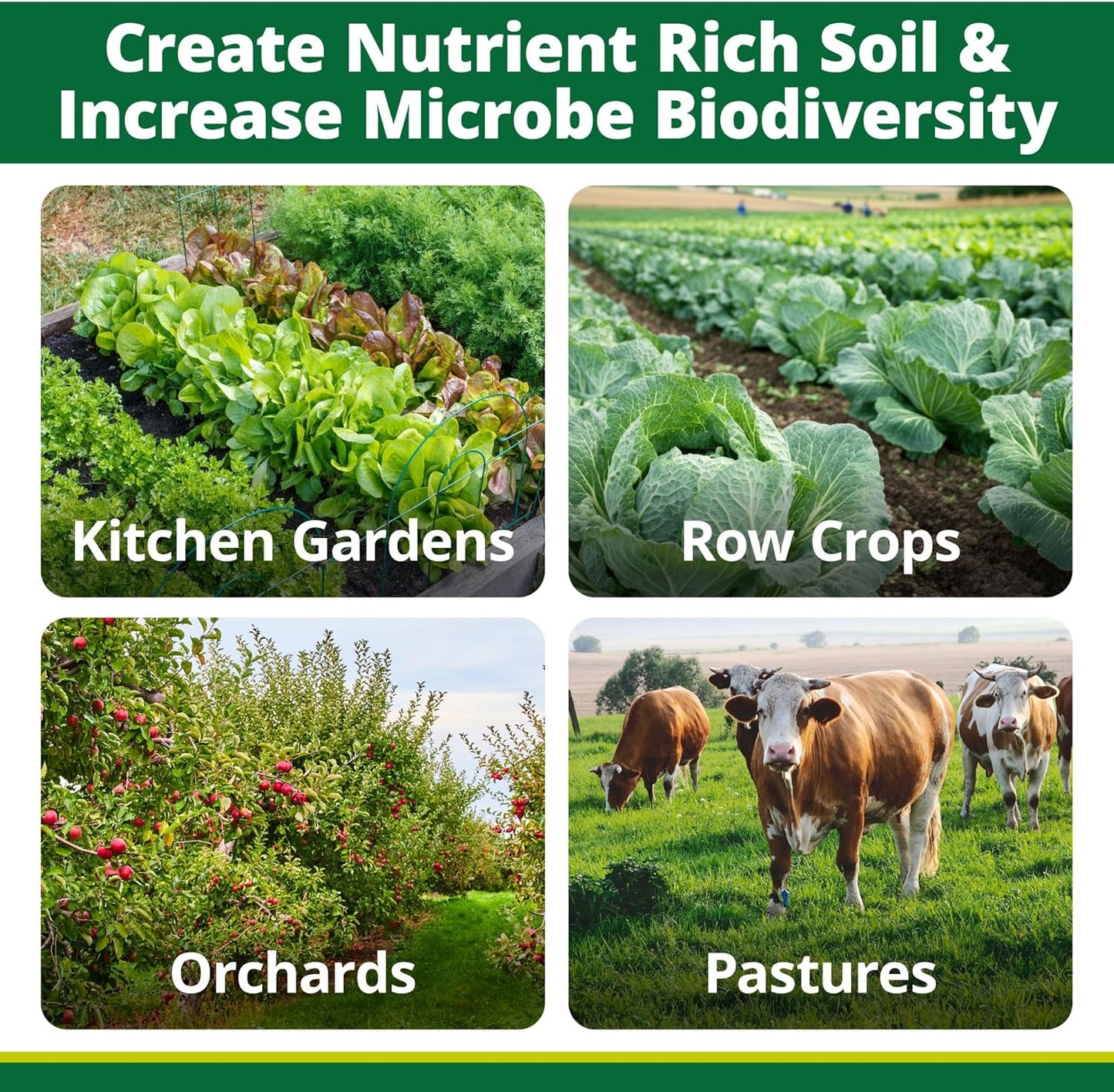 TeraGanix EM-1 Soil Conditioner (1 Btl = 32 Gal), Microbial Inoculant Concentrate, Plant Growth, Root Enhancer, Liquid Probiotic for Soils & Plants, Seed Germination, Gardening, Lawn Care (32 fl oz)