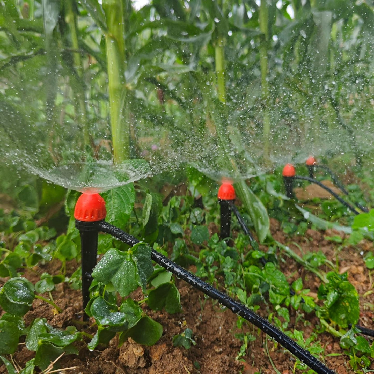 1/4" Drip Irrigation Emitters, Yulaiyoen 1/4-inch Spray Emitters 30 Pack, Automatic Drip Irrigation Parts Accessories, 360 Degree Drip Irrigation Sprinkler Heads Sprayer for Irrigation System