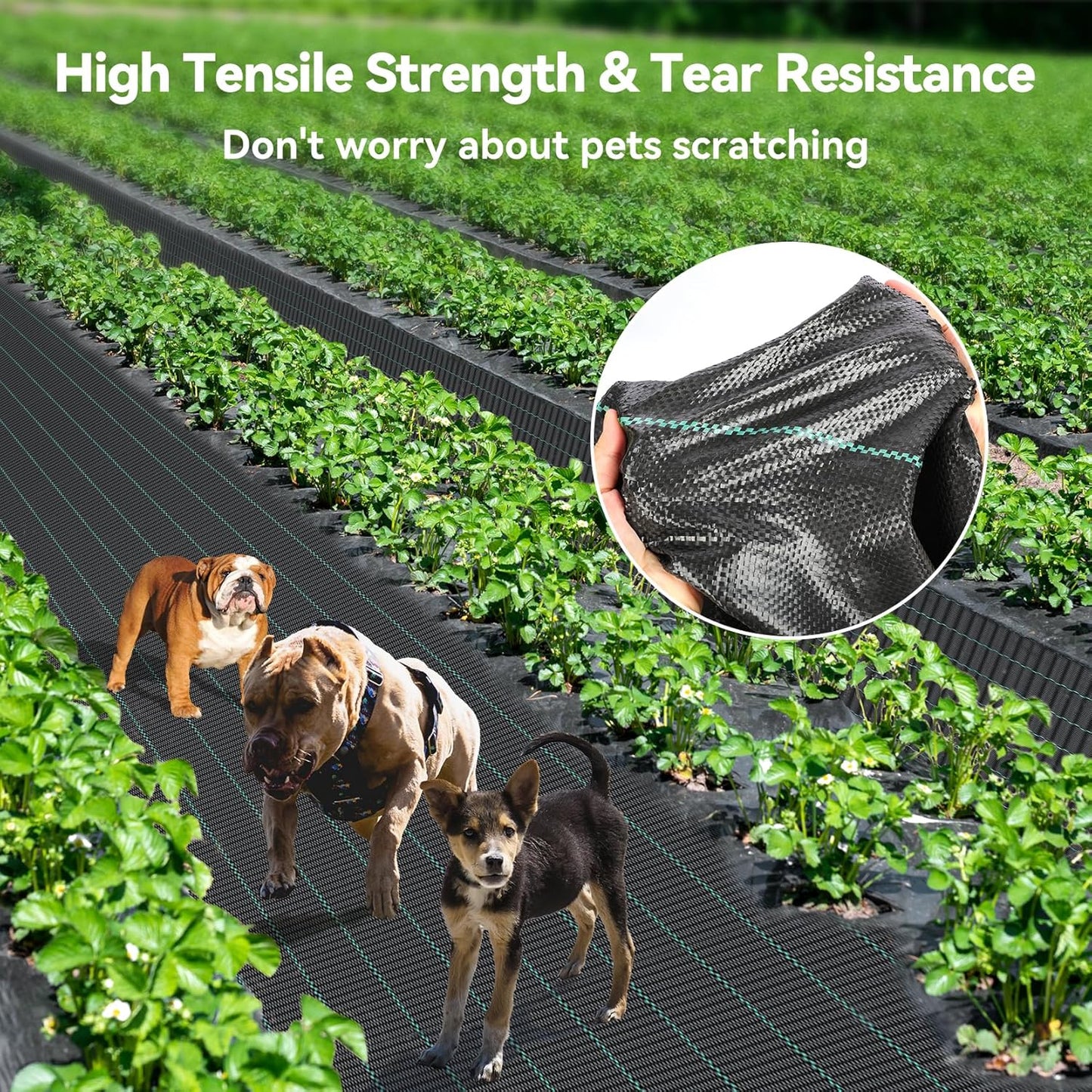 4ftx100ft Weed Barrier Landscape 3.2oz Fabric Heavy Duty, Woven Weed Control Cloth, Woven Geotextile Fabric for Underlayment, Gardening Ground, Commercial Driveway Weed Block Cover Mat