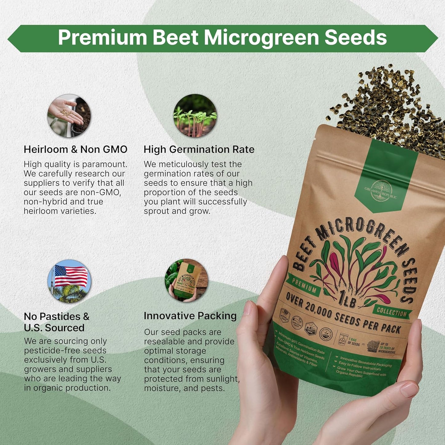 Organo Republic Beet Sprouting & Microgreens Seeds - 20,000 Non GMO Heirloom Seeds, Sprouts in Bulk 1lb Resealable Bag for Planting and Growing in Soil, Coconut Coir, Aeroponic & Hydroponic System