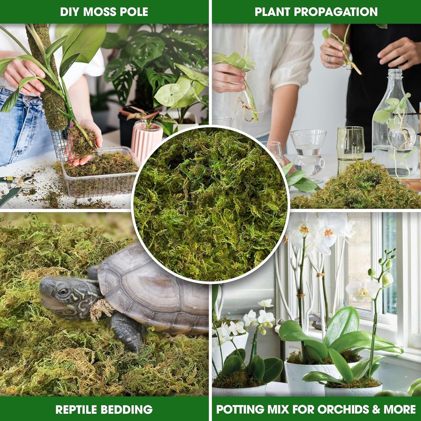 DUSPRO Dried Moss for Potted Plants, Forest Orchid Moss for Potting Mix, Sphagnum Potting Moss for Plants Indoor, Real Moss Soil Cover for Houseplant (5 OZ)