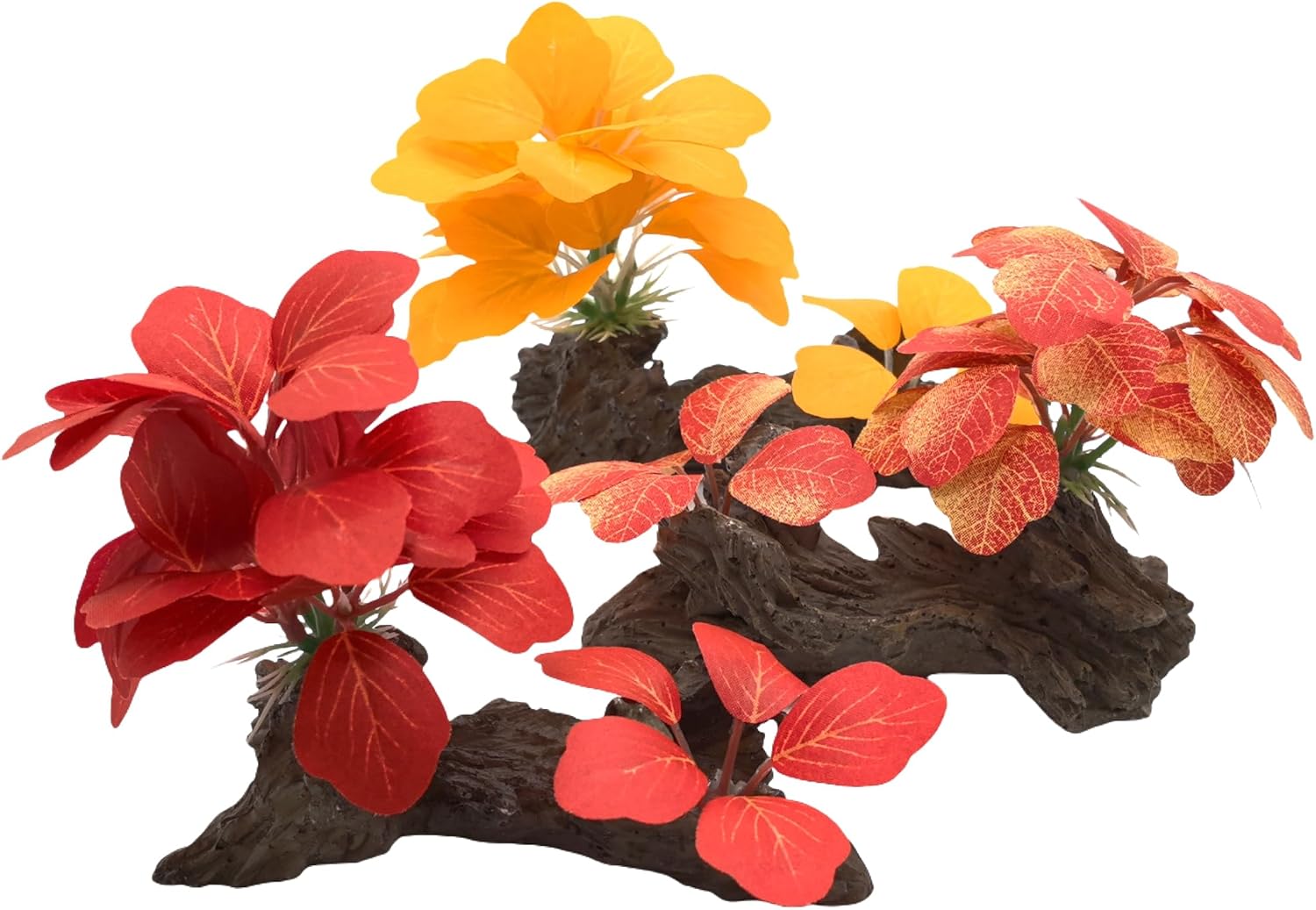 Aquarium Accessories