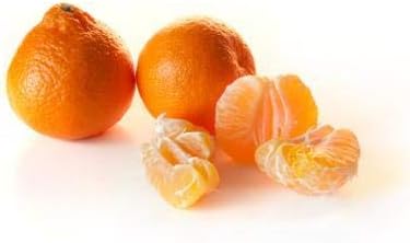 Brighter Blooms - Owari Satsuma Mandarin Tree, 3-4 ft, - No Shipping To AL, AZ, CA, FL, GA, LA, OR, TX, MS