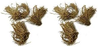 Best Deal on Amazon 9-Pack Hosta Bare Root Perennial Plants - Fresh from Our Farm Ship Fast Directly to you. Perfect for any home & garden grows year after year!