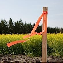 Greenes Fence 3 Ft. Wooden Garden and Sign Post Stakes (75-Pack)