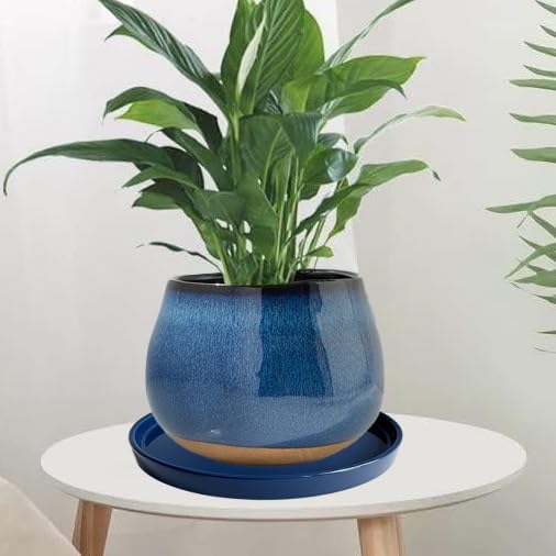Ceramic Plant Saucer Pot Tray Blue 2pcs-12 Inch, Planter Saucers 4 5 6 7 8 9 10 11 12 Inch for Indoors Outdoor, Durable Sturdy Flower Drainage Tray for Glazed Pots Base (12.5 Inch-Blue)