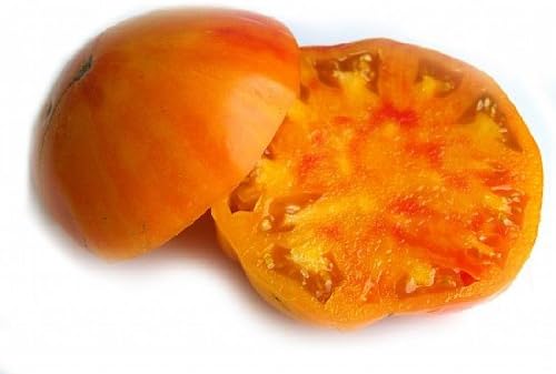 Clovers Garden Heirloom Pineapple Tomato Plants- Two (2) Live Plants – Non-GMO - Not Seeds – Each 4"-8" Tall in 4 Inch Pots - Indeterminate, Disease Resistant