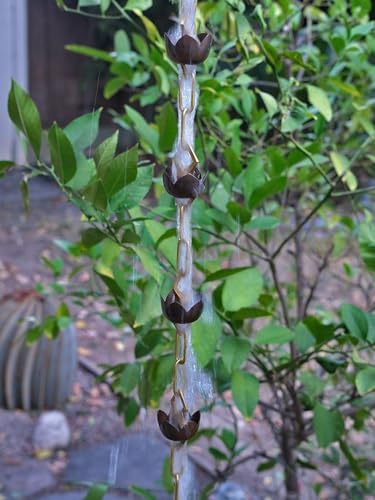 Nutshell Stores Lotus Rain Chain - 17 Feet