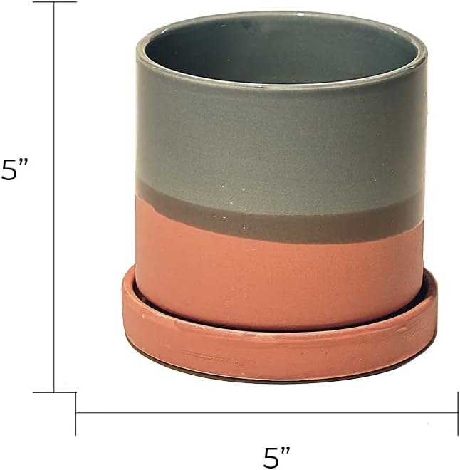 CHIVE ‘Minute’ Ceramic Planter Pot — Cute 5” Colorful Succulent Pots for Indoor & Outdoor House Plants — Beautiful Modern Farmhouse Kitchen Decor — Terracotta