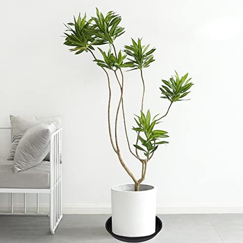 6 Pack of 12 inch Plant Saucer, Heavy Duty Plastic Plant Saucer 12 inch Round, Plant Tray for Pots, Flower Saucers for Indoors, Garden Plate Bowls, Trays for Planter 10"/11"/12" (Black)