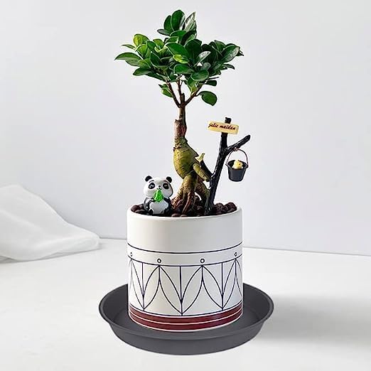 6 Pack Plant Saucer 4 5 inch (4 inch Base), Heavy Sturdy Plant Drainage Tray for Indoors (5 inch, Cement Gray)