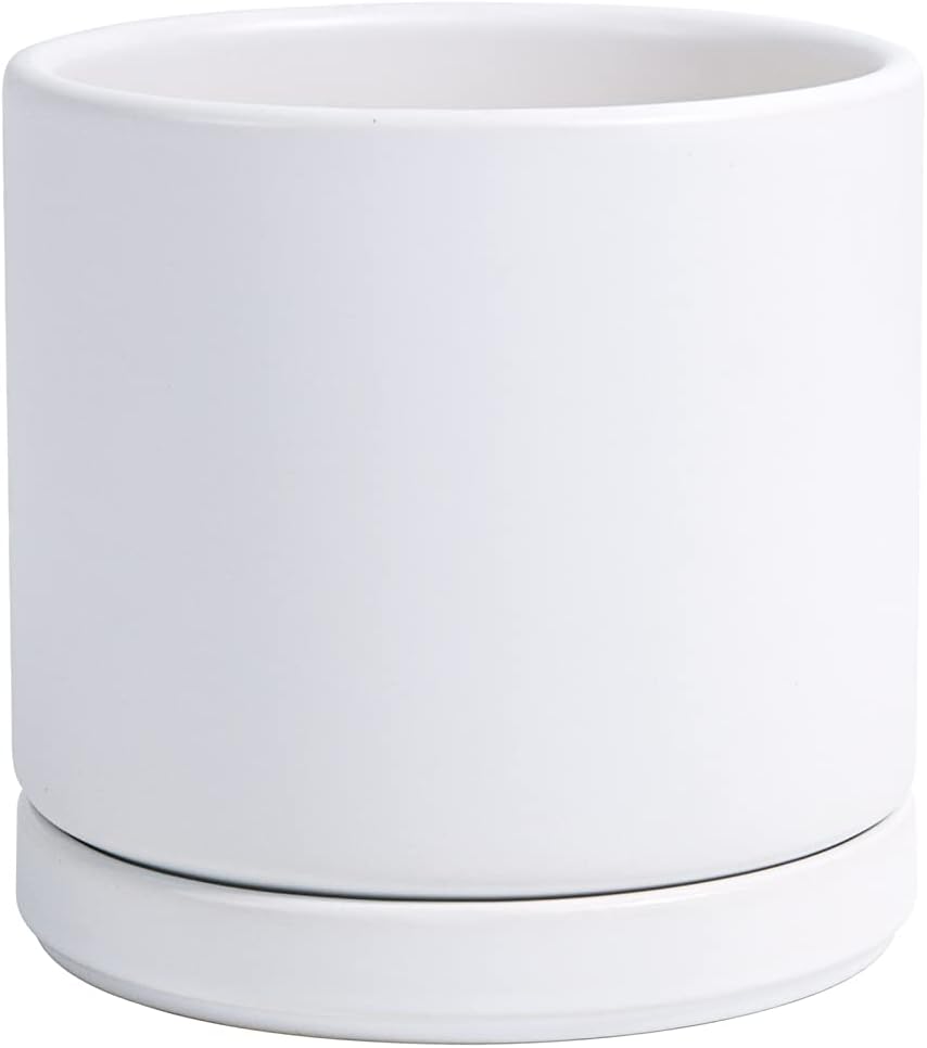 D'vine Dev Ceramic Planter Pot with Drainage Hole and Saucer, Indoor Cylinder Round Flower Pot, 4.6 Inch, White, 94-O-B-1