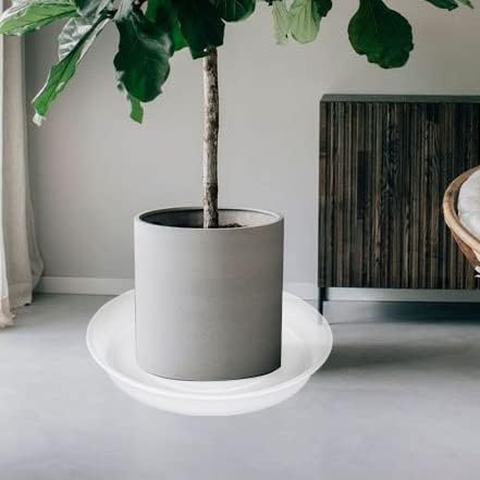 6 Pack of 12 inch Plant Saucer Clear, Heavy Duty Plastic Plant Saucer 12 inch Round, Durable Plant Tray for Pots, Plant Saucers for Indoors, Plant Trays for Planter 10"/11"/12" (12", Clear)