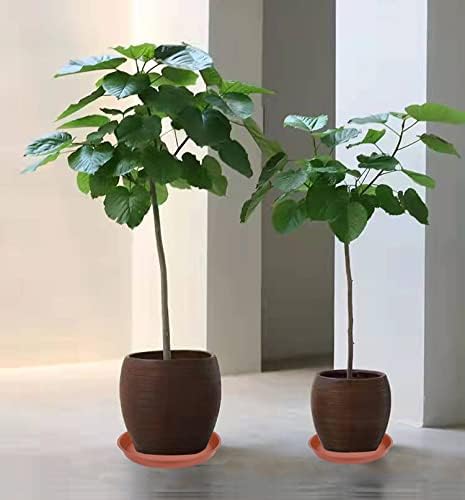6 Pack of 12 inch Plant Saucer, Heavy Duty Plastic Planter Saucer 12" Round, Plant Tray for Pots, Flower Pot Saucers for Indoors, Flower Trays for Planter 11"/12" (12 inch, Terracotta)