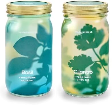 Modern Sprout Mason Garden Jar - Self-Watering Hydroponics Growing System Kit with Organic Herb Seeds - Jar Planter for Indoor Herb Garden - Seed Starter Kit - Home Decor & Gifting - Basil+Cilantro