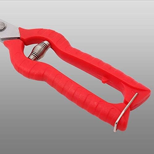 Extra Long Edge Stainless Steel Pruning Shears Fruit Trees Bonsai Sharp Garden Scissors Tool