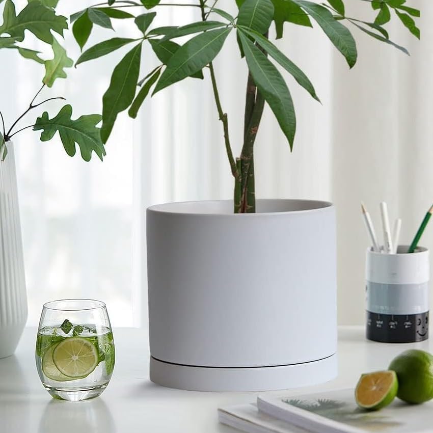 Ceramic Plant Saucer Pot Tray White 2pcs-12 Inch, Planter Saucers 4 5 6 7 8 9 10 11 12 Inch for Indoors Outdoor, Durable Sturdy Flower Drainage Tray for Glazed Pots Base (12.5 Inch-2-White)