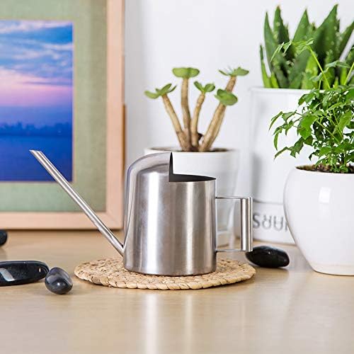 Watering Cans, 10oz/300ml Stainless Steel Long Spout Small Watering Sprinkling Pot, Indoor Outdoor Garden Flower Succulents Plant Watering Cans, Stylish Gardening Decoration(Silver)