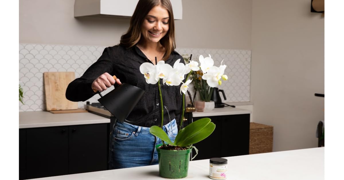 rePotme Plant Food - Feed ME! Organic Fish and Seaweed Fertilizer (2-3-1) - 16 oz