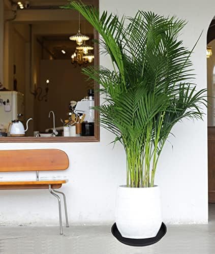 2 Pack of Bird Bath Bowl 12", 1.6" Depth, 10 12 inch Birdbath Bowls Dish Only for The Garden, Large Plant Saucer (12", Black)