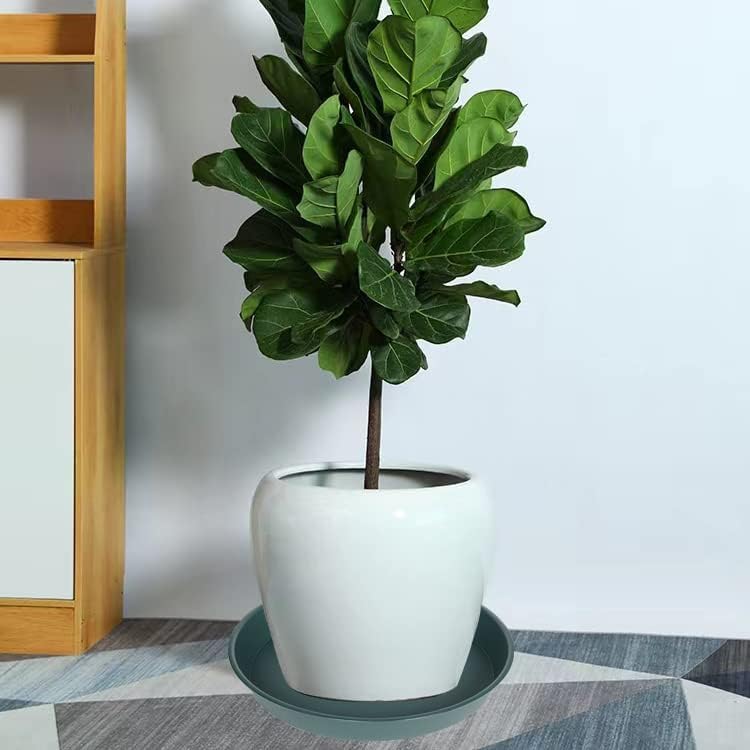 2 Pack of 14 inch Plant Saucer (12.2 Inch Base), 1.7" Depth Tray, Large Deep Garden Plastic Flower Planter Plant Trays for Indoors Outdoor Bath Bath (14", Green)